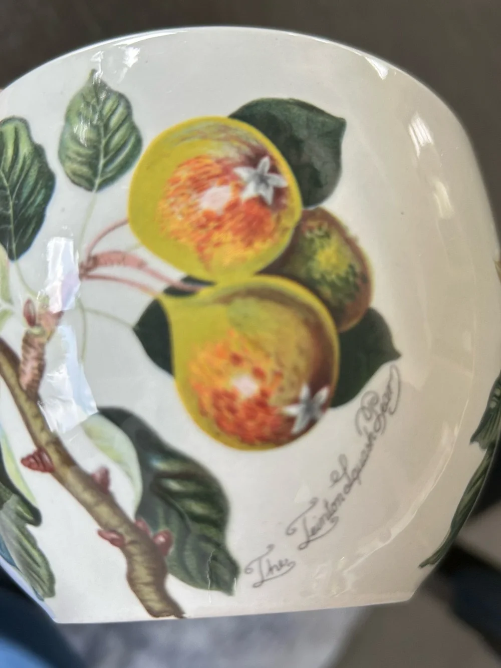 Portmeirion Pomona Trenton Squash Pear Goddess of Fruit Jumbo Tea Cup/Mug